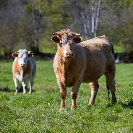 La Dormeuse Du Val Holiday home *