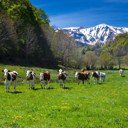 La Dormeuse Du Val Chambon-sur-Lac