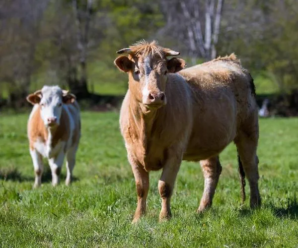 La Dormeuse Du Val Holiday home *
